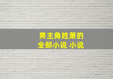 男主角姓萧的全部小说 小说